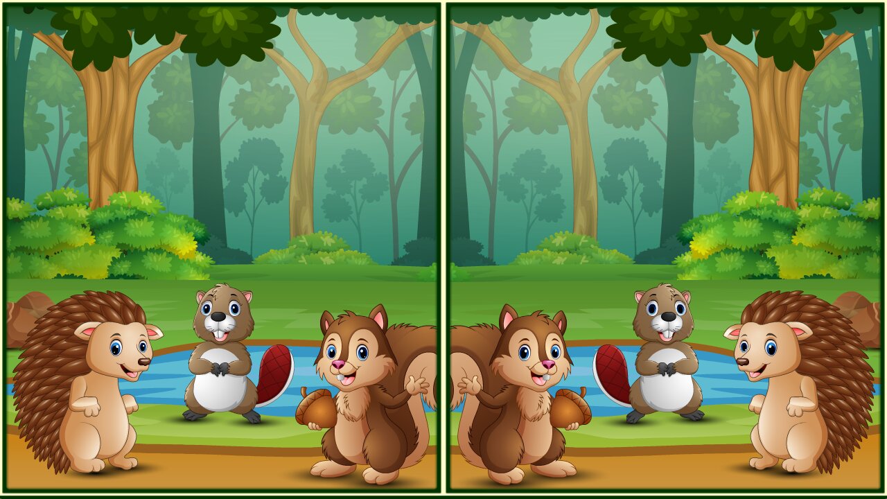 Image Spot The Differences Forests